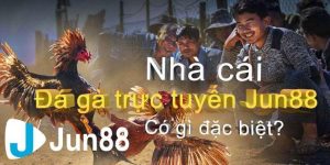 Những trận cầu đỉnh cao trên đá gà Jun88